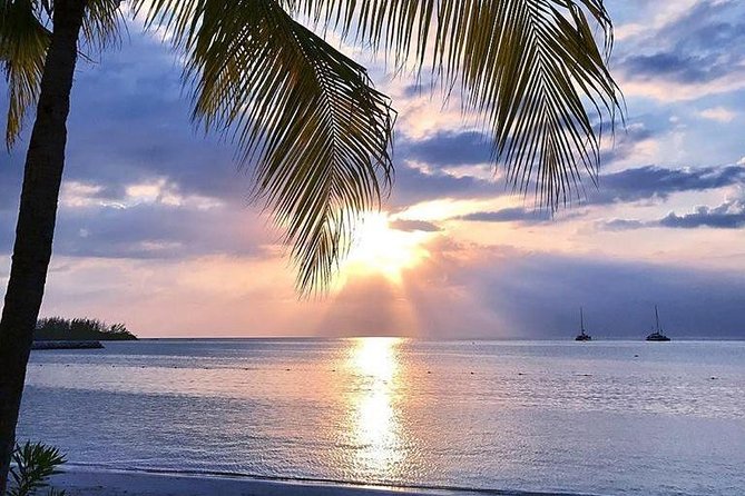 Rosehall Great House and Montego Bay City Tour From Falmouth - Tour Inclusions and Exclusions