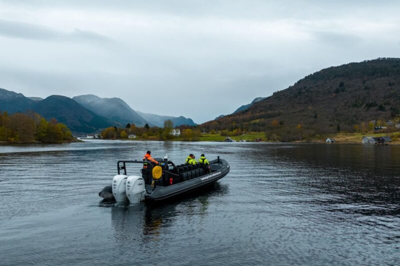 Rosendal Fjord Explore: RIB Adventure on the Hardangerfjord - Key Points