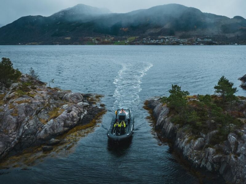Rosendal Majesty: Exclusive RIB Adventure in Hardangerfjord - Adrenalin-Filled RIB Safari