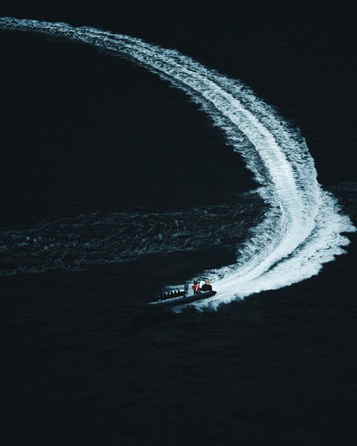 Rosendal Majesty: Exclusive RIB Adventure in Hardangerfjord - Wildlife Spotting Opportunities
