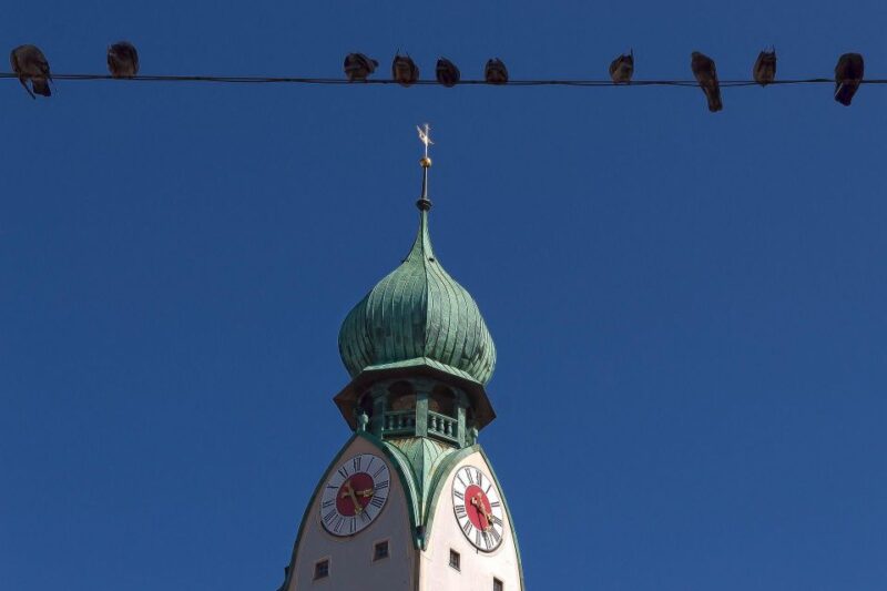 Rosenheim: Private Guided Walking Tour - Key Points