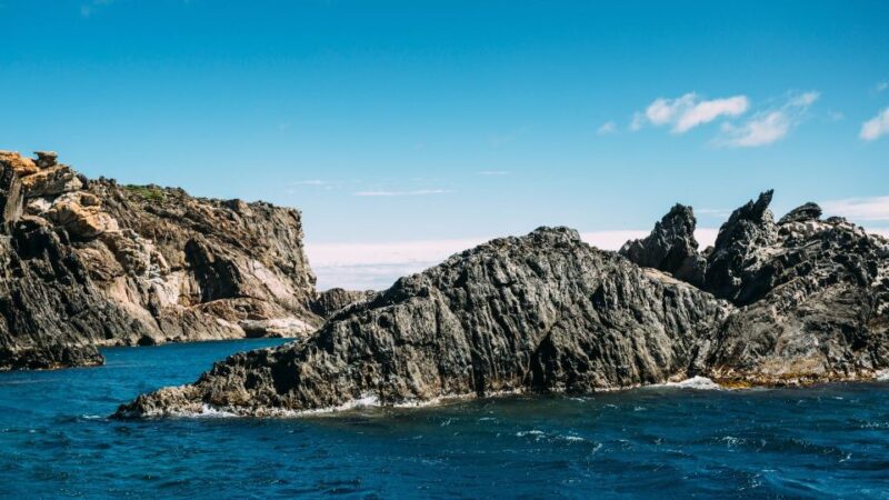 Roses: Boat Trip to Cap De Creus and Cadaqués - Price and Duration
