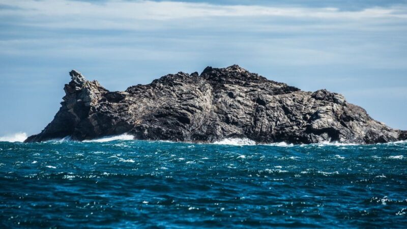 Roses: Boat Trip to Cap De Creus and Cadaqués - Included in the Tour