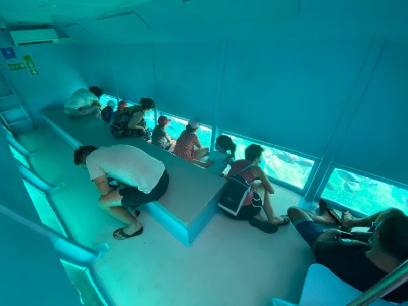 Roses: Costa Brava Catamaran Trip With Underwater Views - Inclusions and Restrictions
