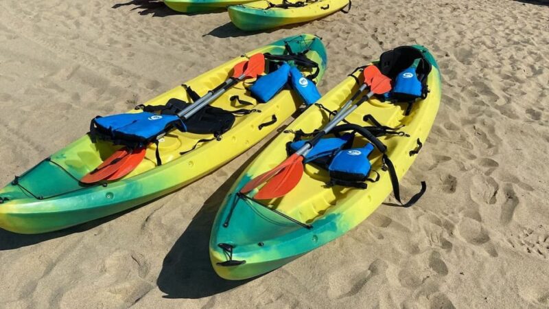 Roses: Kayak Rental - Customer Feedback