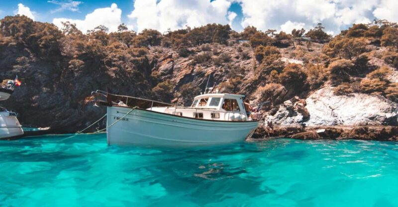 Roses: Private Cruise in the Natural Park of Cap De Creus - Highlights of the Experience