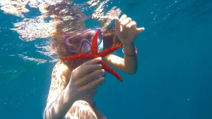 Roses: Private Cruise in the Natural Park of Cap De Creus - Frequently Asked Questions