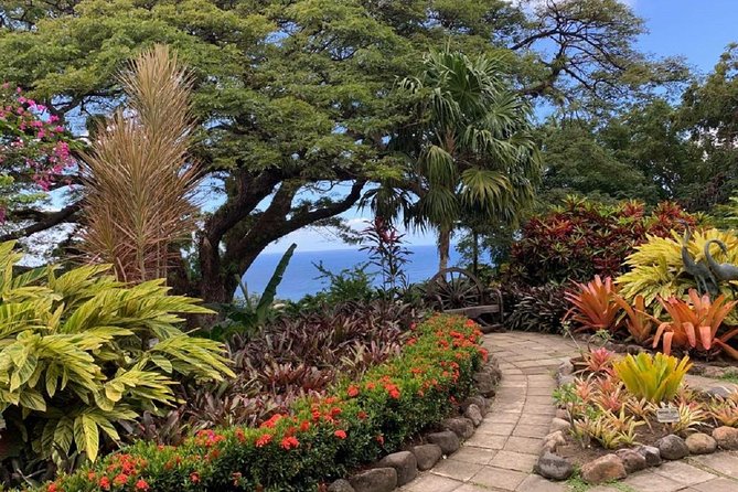 Rosevelts Special Best of St. Kitts/Panoramic Tour - Exploring Brimstone Hill Fortress