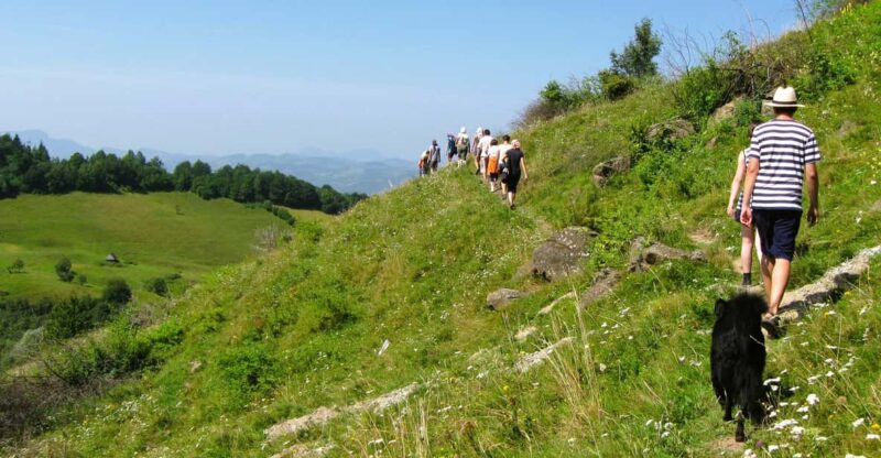 Rosia Montana Gold Mine & Hike (1 Day, From Cluj) - Key Points