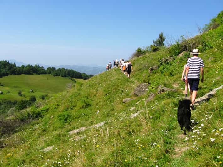 Rosia Montana Gold Mine & Hike (1 Day, From Cluj) - Historical Context