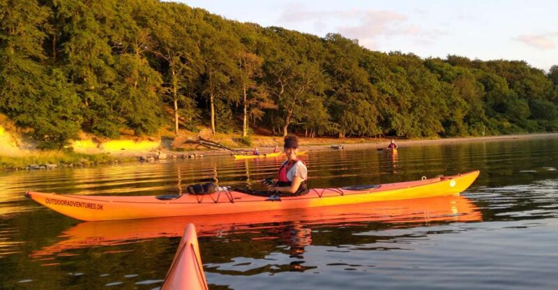 Roskilde: Guided Kayaking on Roskilde Fjord: Private Tour - Included Amenities