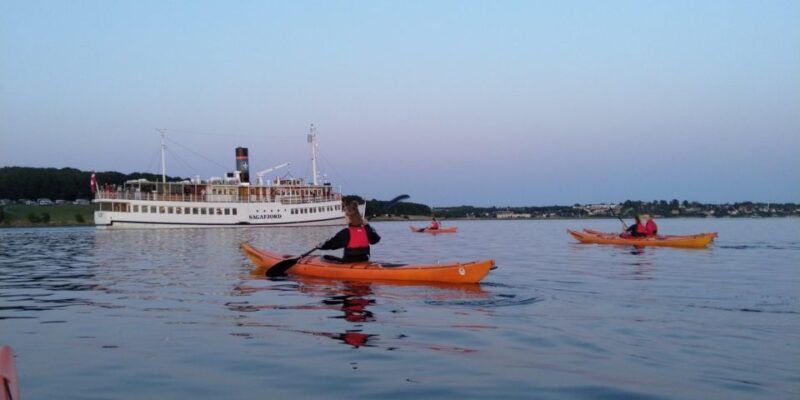 Roskilde: Guided Kayaking on Roskilde Fjord: Private Tour - Safety Considerations