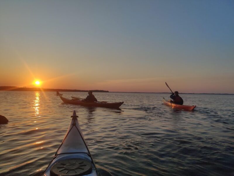 Roskilde: Guided Kayaking on Roskilde Fjord: Sunset Tour - Good To Know