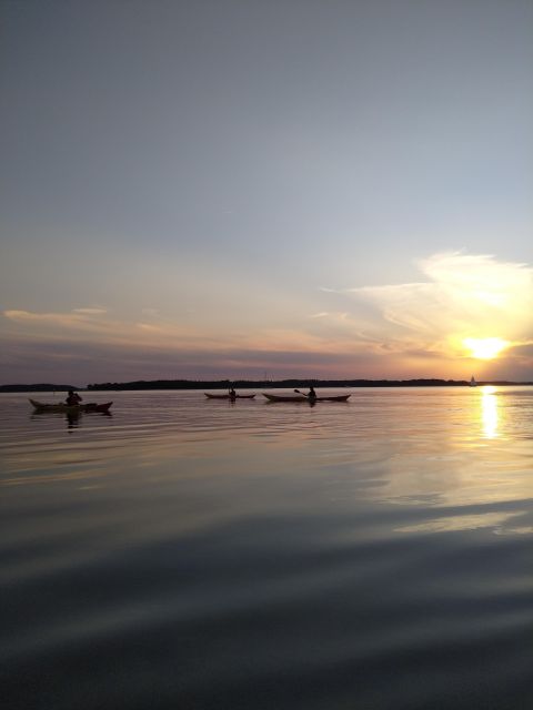 Roskilde: Guided Kayaking on Roskilde Fjord: Sunset Tour - Experience Highlights