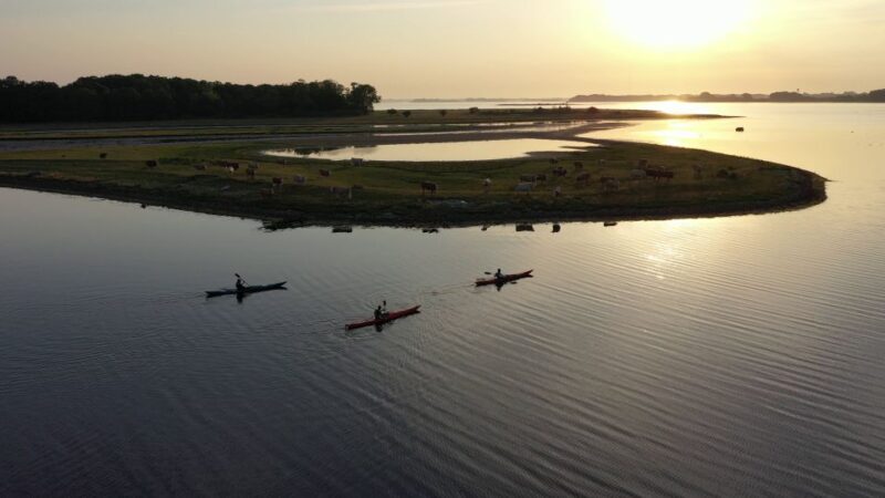 Roskilde: Guided Kayaking on Roskilde Fjord: Sunset Tour - Inclusions