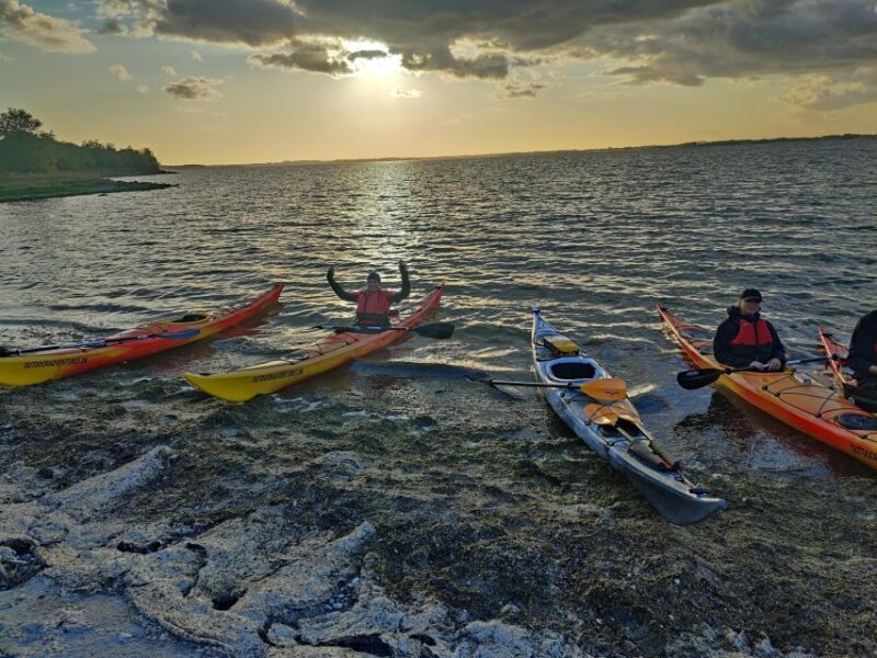 Roskilde: Guided Kayaking on Roskilde Fjord: Sunset Tour - Booking and Cancellation