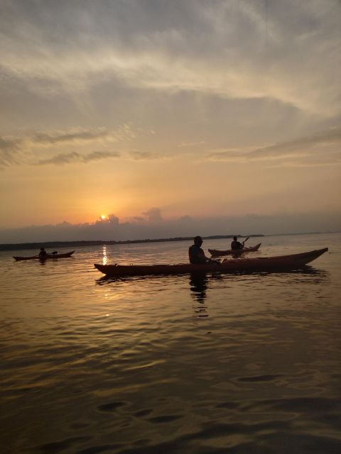 Roskilde: Guided Kayaking on Roskilde Fjord: Sunset Tour - What to Bring