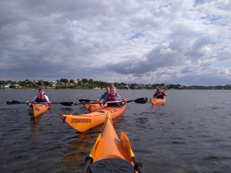 Roskilde:Guided Kayaking on Roskilde Fjord: Sunday Afternoon - Experience Highlights