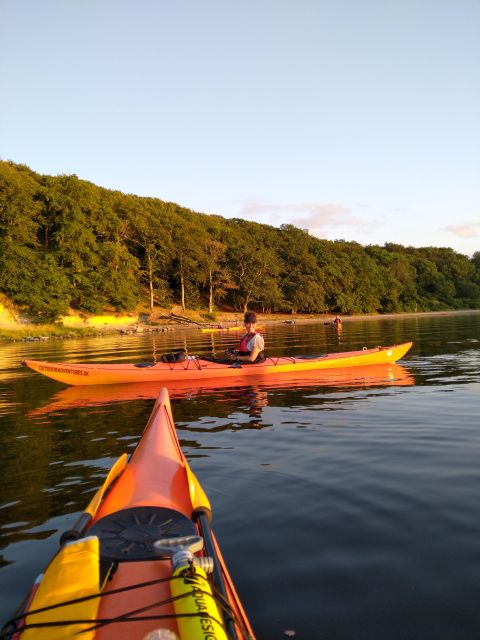 Roskilde:Guided Kayaking on Roskilde Fjord: Sunday Afternoon - Participant Restrictions