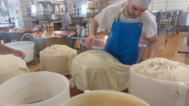 Rosola: Parmigiano Dairy Farm Visit With Cheese Tasting - Pricing and Reservation