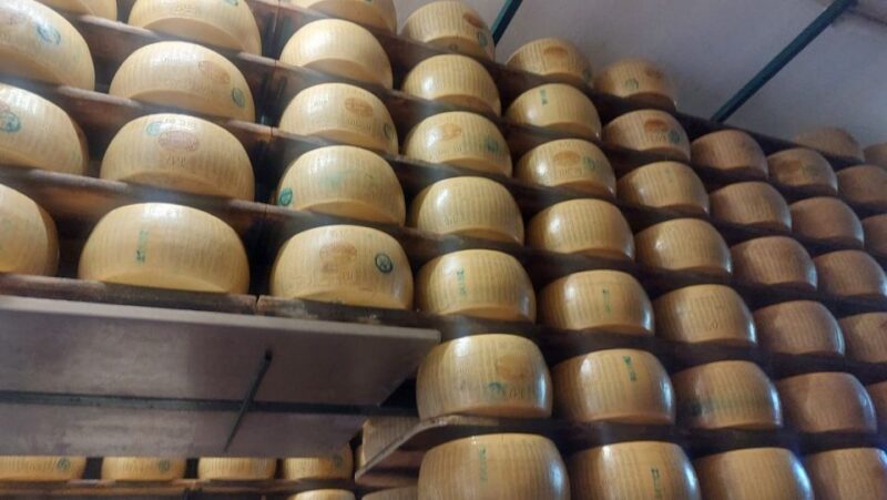 Rosola: Parmigiano Dairy Farm Visit With Cheese Tasting - Languages and Group Details