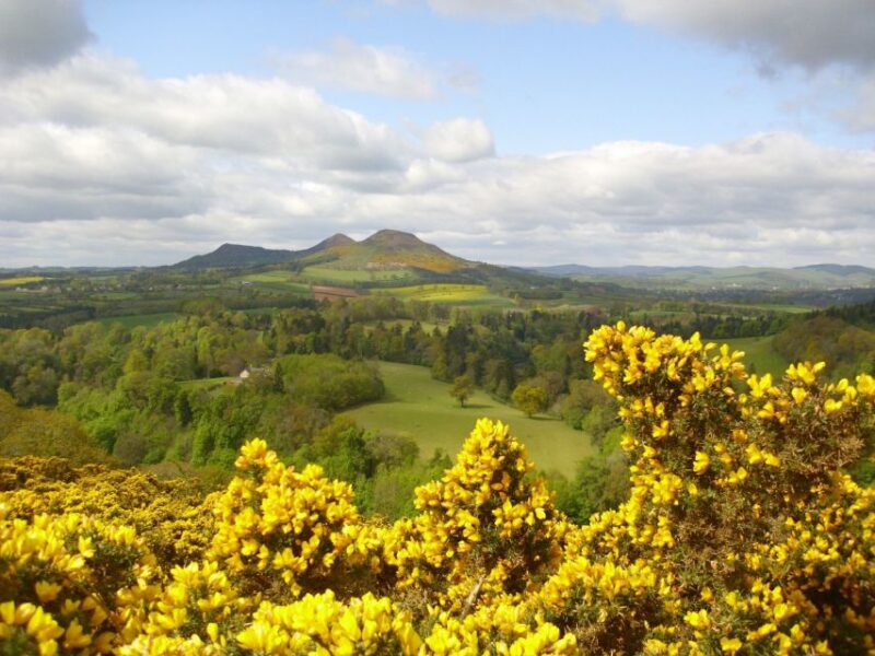 Rosslyn Chapel & Scottish Borders Tour From Edinburgh - Customer Reviews