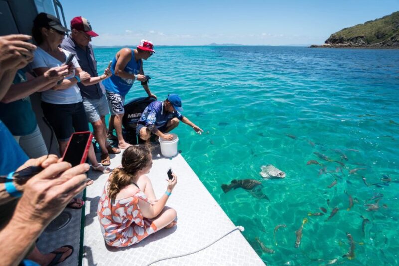 Rosslyn: Great Keppel Island Glass Bottom Boat Tour & Ferry - Itinerary and Activities