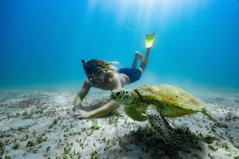 Rosslyn: Great Keppel Island Glass Bottom Boat Tour & Ferry - Accessibility and Requirements