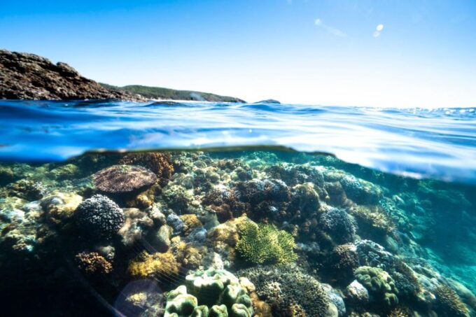 Rosslyn: Great Keppel Island Glass Bottom Boat Tour & Ferry - Recap