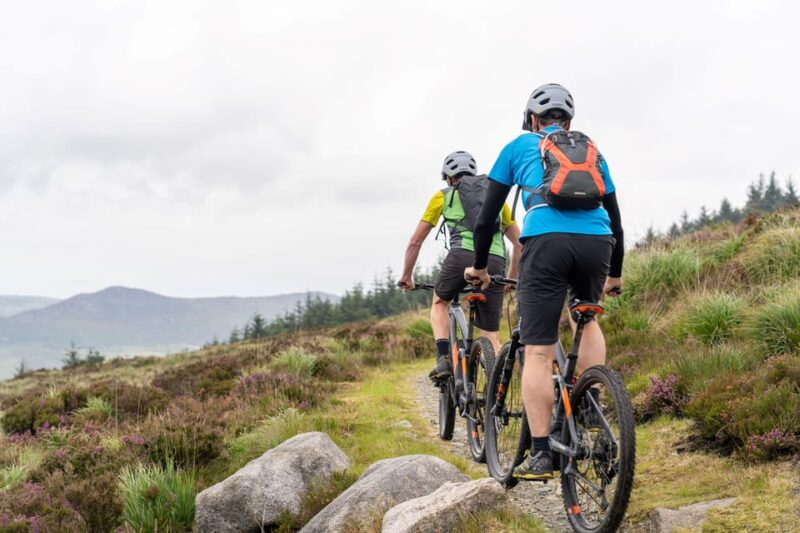 Rostrevor :Electric Mountain Biking Experience - Key Points