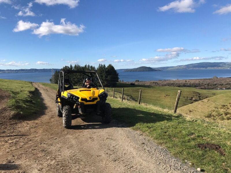 Rotorua: 4×4 Self-Drive Buggy Tour Through Farm and Bushland - Important Information and Requirements