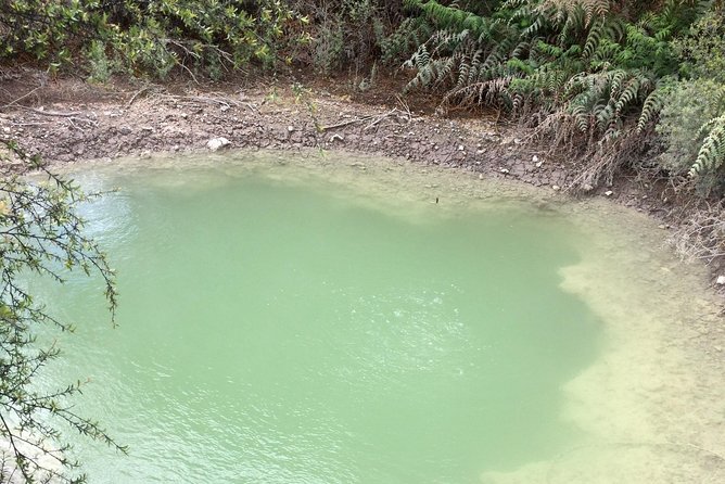 Rotorua Activity Review: Fun and Accessible Experience - Included Amenities