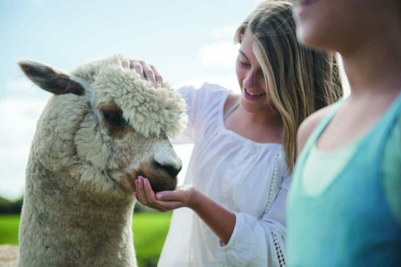 Rotorua: Authentic Kiwi Farm Experience at the Agrodome - The Guided Farm Tour