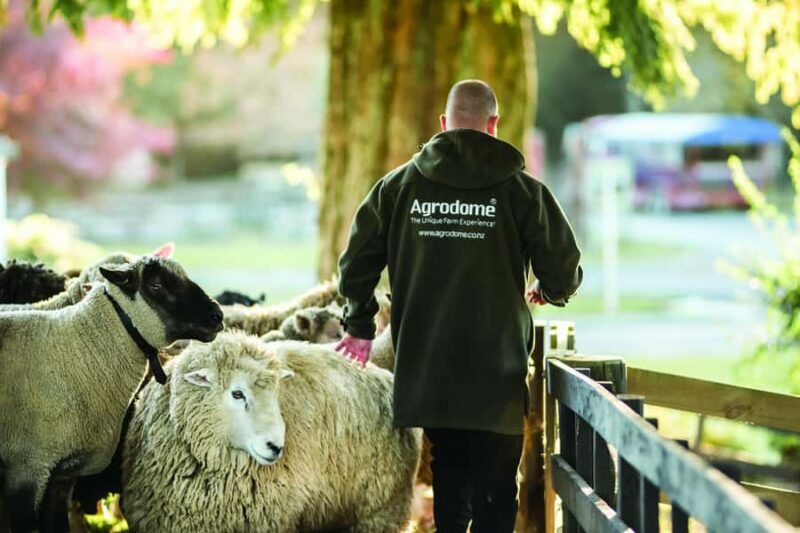 Rotorua: Authentic Kiwi Farm Experience at the Agrodome - Baby Animals and Hands-On Activities