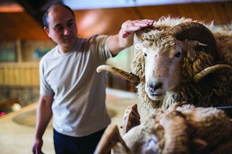 Rotorua: Authentic Kiwi Farm Experience at the Agrodome - Practical Considerations