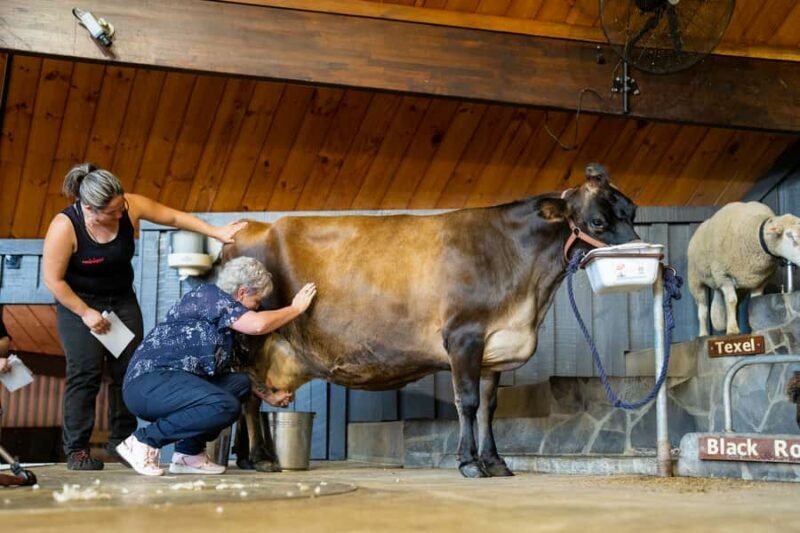 Rotorua: Authentic Kiwi Farm Experience at the Agrodome - Authenticity and Value