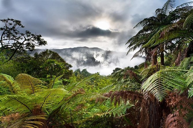 Rotorua Based Small Group Morning Tour Waimangu and Wai O Tapu - Itinerary Highlights