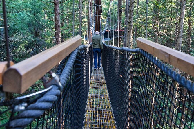 Rotorua Day Trip From Auckland With Options - Smaller Groups - Accessibility and Safety Considerations