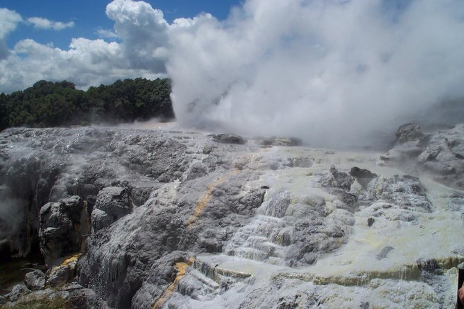 Rotorua Day Trip From Auckland With Options - Smaller Groups - Feedback and Reviews