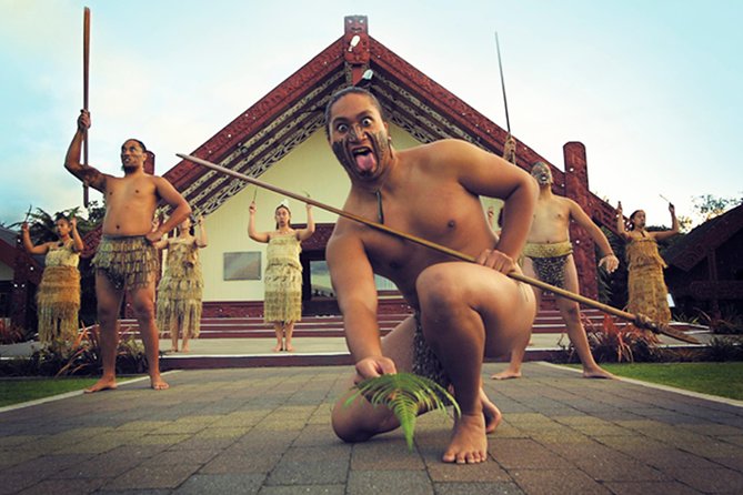 Rotorua Discovery Te Puia Tour - Traveler Feedback and Reviews