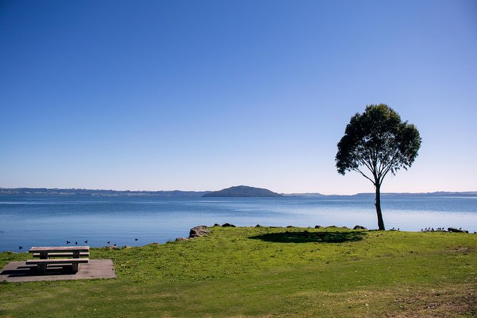 Rotorua Duck Boat Guided City and Lakes Tour - Highlights of the Tour