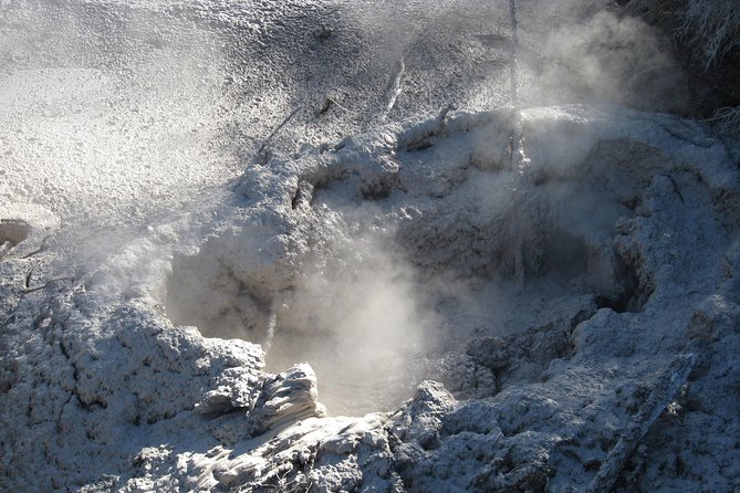 Rotorua Eco Cultural Full Day Tour (Wai O Tapu, Waimangu,Te Puia) - Tour Reviews and Feedback