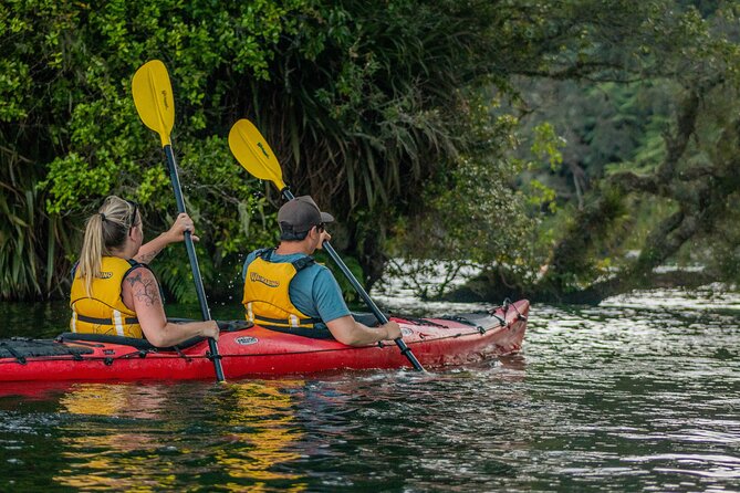 Rotorua: Evening Starlight Gourmet Kayak Tour Glowworms - Customer Feedback Highlights