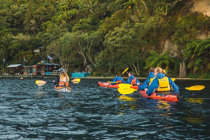 Rotorua: Evening Starlight Gourmet Kayak Tour Glowworms - Tour Destination and Experience