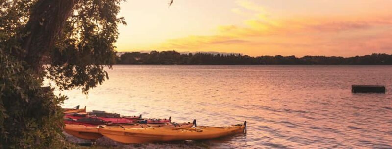 Rotorua: Evening Starlight Gourmet Kayak Tour with dinner - An In-Depth Review of the Rotorua Kayak Tour