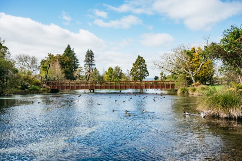 Rotorua: Explore The Lakes Half-Day Morning Tour - Key Points