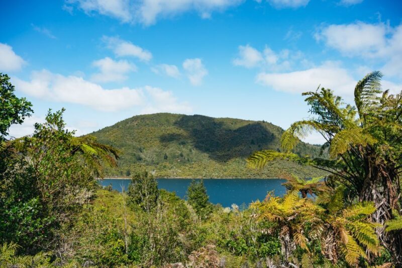 Rotorua: Explore The Lakes Half-Day Morning Tour - Safety Considerations
