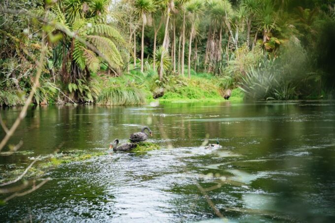 Rotorua: Explore The Lakes Half-Day Morning Tour - Booking and Cancellation