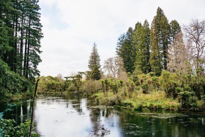 Rotorua: Explore The Lakes Half-Day Morning Tour - About Rotorua