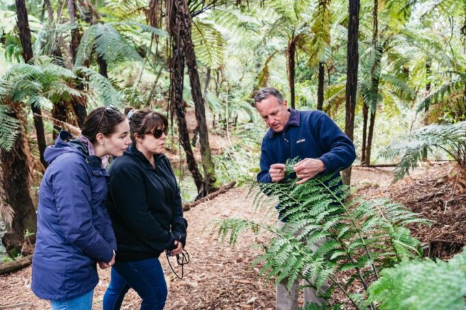 Rotorua: Explore The Lakes Half-Day Morning Tour - Frequently Asked Questions